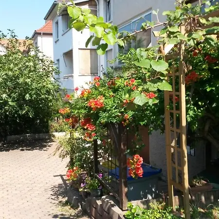 Rotonde * Strasbourg